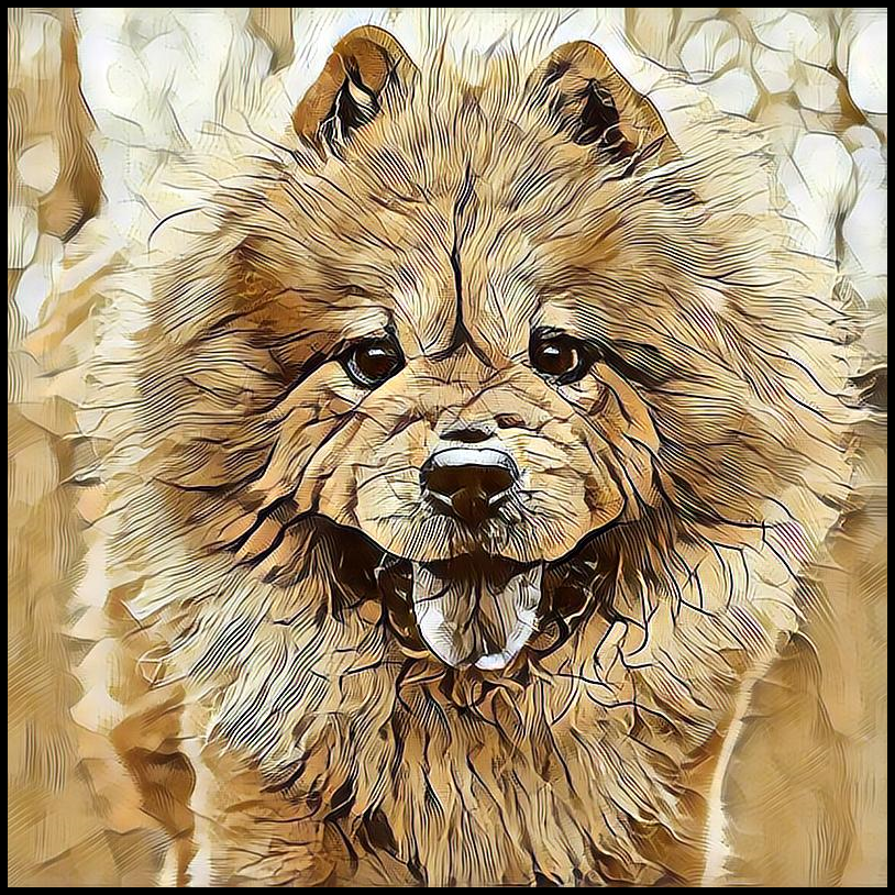 Picture for category Chow Chow
