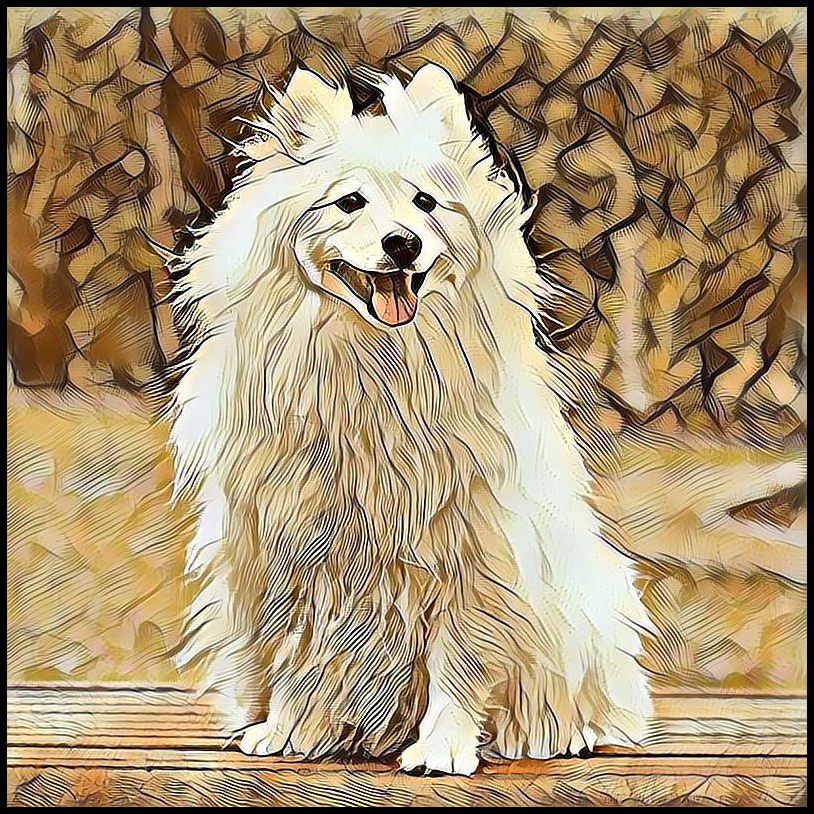 Picture for category Japanese Spitz