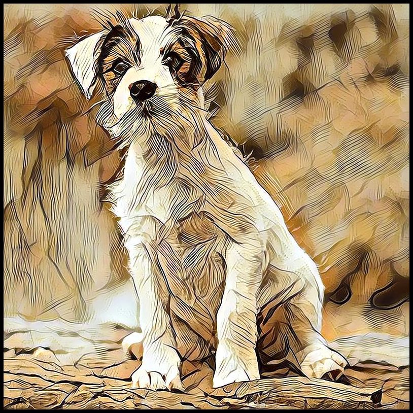 Picture for category Parson Russell Terrier