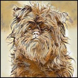 Picture of Affenpinscher-Hairy Styles Mug