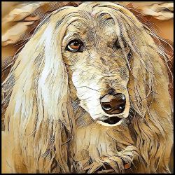 Picture of Afghan Hound-Hairy Styles Mug
