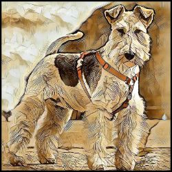 Picture of Airedale Terrier-Hairy Styles Mug