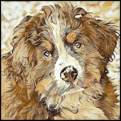 Picture of Bernese Mountain Dog-Hairy Styles Mug