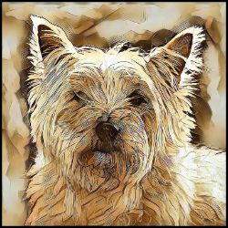 Picture of Cairn Terrier-Hairy Styles Mug