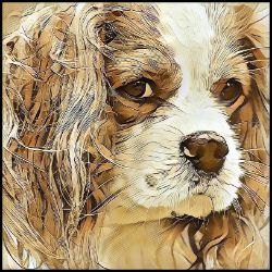 Picture of Cavalier King Charles Spaniel-Hairy Styles Mug