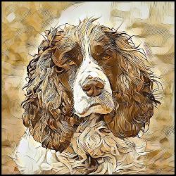 Picture of English Springer Spaniel-Hairy Styles Mug