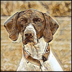 Picture of German Shorthaired Pointer-Hairy Styles Mug