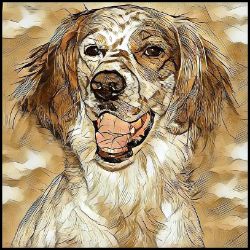 Picture of Irish Red and White Setter-Hairy Styles Mug