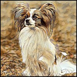 Picture of Papillon-Hairy Styles Mug