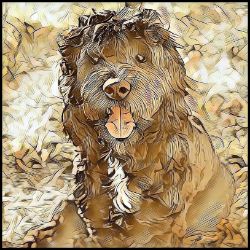 Picture of Portuguese Water Dog-Hairy Styles Mug