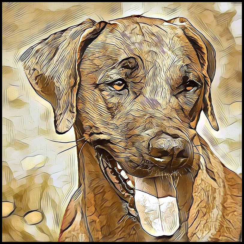 Custom Rhodesian Ridgeback Dog Mug - Coloromo Art Style Hairy Styles ...