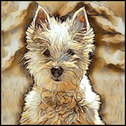 Picture of West Highland Terrier-Hairy Styles Mug