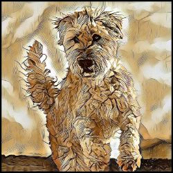 Picture of Wheaten Terrier-Hairy Styles Mug