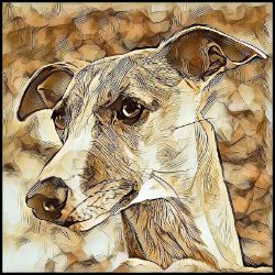 Picture of Whippet-Hairy Styles Mug