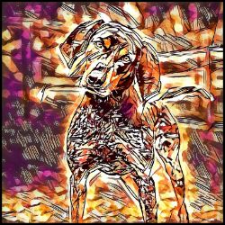 Picture of Bluetick Coonhound-Hipster Mug