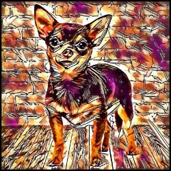 Picture of Chihuahua Smooth Coat-Hipster Mug