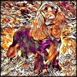 Picture of Field Spaniel-Hipster Mug