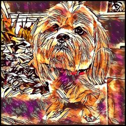 Picture of Lhasa Apso-Hipster Mug