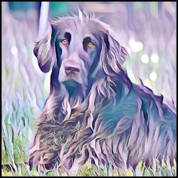 Picture of German Long Haired Pointer-Lavender Ice Mug