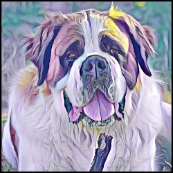 Picture of Saint Bernard-Lavender Ice Mug