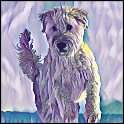 Picture of Wheaten Terrier-Lavender Ice Mug