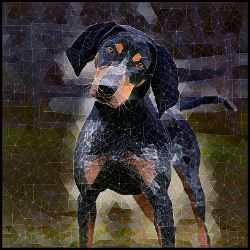 Picture of Bluetick Coonhound-Rock Candy Mug