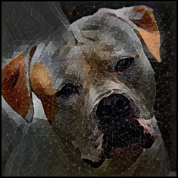 Picture of Bulldog-Rock Candy Mug