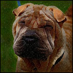 Picture of Chinese Shar Pei-Rock Candy Mug
