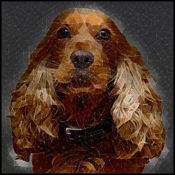 Picture of Cocker Spaniel-Rock Candy Mug