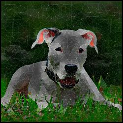 Picture of Dogo Argentino-Rock Candy Mug