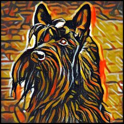Picture of Scottish Terrier-Graffiti Haus Mug