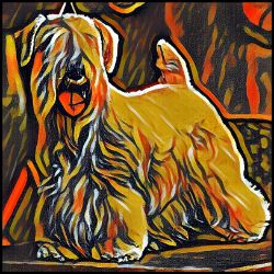 Picture of Sealyham Terrier-Graffiti Haus Mug