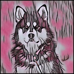 Picture of Alaskan Malamute-Comic Pink Mug