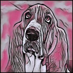 Picture of Bassett Hound-Comic Pink Mug