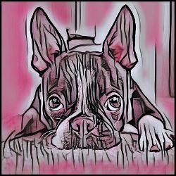 Picture of Boston Terrier-Comic Pink Mug