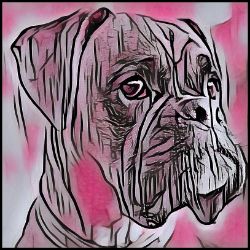 Picture of Boxer-Comic Pink Mug