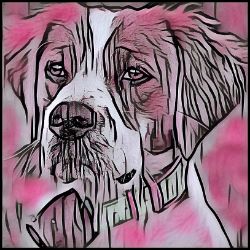 Picture of Brittany Spaniel-Comic Pink Mug