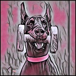 Picture of Doberman-Comic Pink Mug