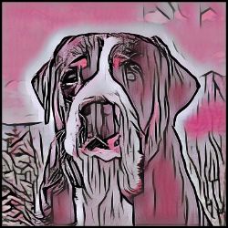 Picture of Greater Swiss Mountain Dog-Comic Pink Mug