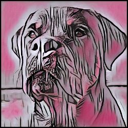 Picture of Rottweiler-Comic Pink Mug