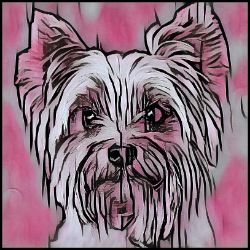 Picture of Yorkshire Terrier-Comic Pink Mug