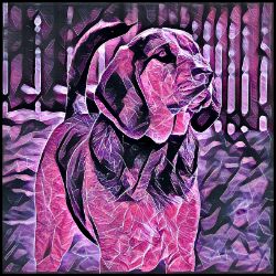 Picture of Bloodhound-Violet Femmes Mug
