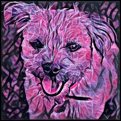 Picture of Border Terrier-Violet Femmes Mug