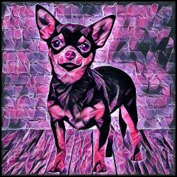 Picture of Chihuahua Smooth Coat-Violet Femmes Mug