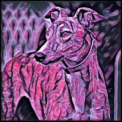Picture of Greyhound-Violet Femmes Mug