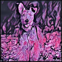 Picture of Welsh Terrier-Violet Femmes Mug