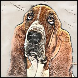 Picture of Bassett Hound-Penciled In Mug