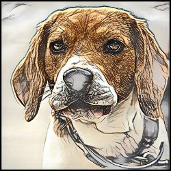 Picture of Beagle-Penciled In Mug