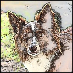 Picture of Border Collie-Penciled In Mug