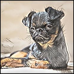 Picture of Brussels Griffon-Penciled In Mug